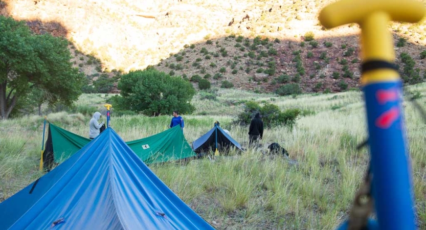 A group of tarp shelters rest in desert grasses. They are propped up by paddles. 